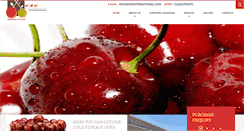 Desktop Screenshot of krkinternational.com