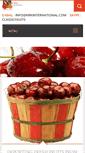 Mobile Screenshot of krkinternational.com